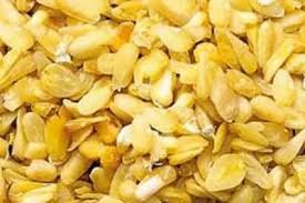Maize Germs
